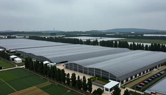 慢病随访适用条件分析:精准识别与有效处理